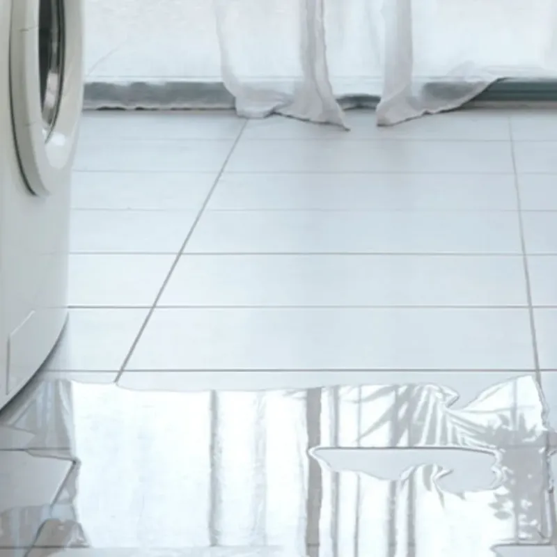 Appliance Leak Cleanup in Battle Ground, IN