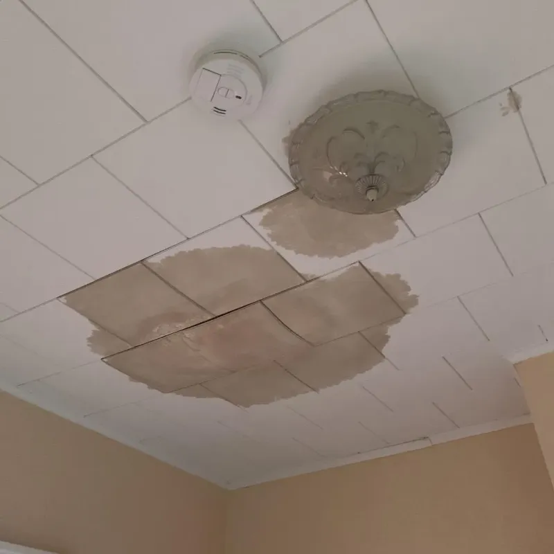 Ceiling Water Damage Repair in Battle Ground, IN